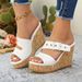 Women's Summer Thick Sole Platform Sandals Open Toe Roman Wedge Buckle Style Plus Size European And American Influenced_vogvips.com