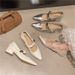 French Silver Evening Wind Pointed High Heels Women's Autumn With Skirt Thick Heel Mary Jane Single Shoes_vogvips.com