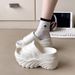 2024 New Fashion Thick-Soled High Heel Slippers 10cm Women's Height-Increasing Outdoor Wear In Stock INS European And_vogvips.com