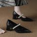 French-style Chunky Heel High Heels Silver Pointed-toe Women's 2026 New Summer Model To Match Skirts, Medium-heel Mary_vogvips.com