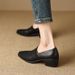 Spring 2025 New Black Middle Deep Mouth Sh, Thick Heel Anti Slip Pointed Apricot, One Step Stepping Women's Single_vogvips.com