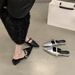 2025 Spring New Chunky Heel Closed Mules For Women Slip-On Pointed Toe Mary Jane Silver Shoes_vogvips.com