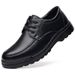 TerraStride 2025 New Casual Men's Genuine Breathable Soft Sole Business Formal Leather With Fleece Cotton Shoes_vogvips.com