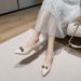 Women's Shoes Chunky Heel Pumps - Pointed Toe Slip-On Dress Shoes With Metal Buckle Detail, Comfortable Mid Heel (3-6cm) For All Seasons, Sizes 34-42_vogvips.com