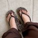 2026 New Beach Vacation Flip-flops Women Ins Leopard Print Summer Wear Pinch Feet Bath Cool Slippers_vogvips.com