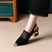 2026 Summer New Model Foreign Trade Niche Light Luxury Chunky Heel Pointed Toe Mesh Open Back Fashion Sandals For_vogvips.com