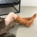 Elegant Queen Style Dark French Minimalist Lazy Slouch 2025 Winter Full Aura High Boots_vogvips.com