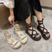 Fairy Style Sandals Female French Niche Thick-soled Heightened Cross-strap High-top Roman Shoes_vogvips.com