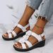 Foreign Trade Plus Size Summer 2026 New European And American Hollow Wedge Heel Peep-Toe Floral Buckle Strap Casual_vogvips.com