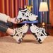 755 Winter New Korean Style Height-Increasing Casual Dad Thick-Soled Wedge Student Versatile Color-Block Women's Shoes_vogvips.com