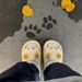 Adorable Waterproof Closed Toe Cat Paw Anti Slip Soft Bottom Ladies Slippers Home_vogvips.com