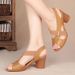 2024 Spring Summer Women's Sandals New Open Peep Toe Roman Shoes High One Strap Buckle Thick Heel Leather Elastic_vogvips.com