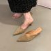 Leopard Print Kitten Heel Elegant French Style Closed-Toe Mules Women's Shoes For Outdoor Wear 2024 Autumn New Pointed_vogvips.com