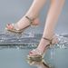 European And American Fashion One-strap Sandals 2025 New Model Transparent Rhinestone Chunky Heel Platform High-heeled_vogvips.com