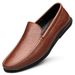 Embossed Snake Scale Pattern Beanie Shoes Men's Lazy Feet Men's Shallow Mouth Casual Men's Shoes Single Shoes_vogvips.com