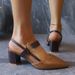 Sandals For Women Summer 2025 New Export Pointed Toe One-Strap Roman Shoes Shallow Mouth Chunky Heel High Heels_vogvips.com