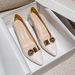 Women's Shoes Chunky Heel Pumps - Pointed Toe Slip-On Dress Shoes With Metal Buckle Detail, Comfortable Mid Heel (3-6cm) For All Seasons, Sizes 34-42_vogvips.com