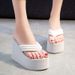 Summer New Outside Korean Style Fashion Super High Heels Wedges Platform Women Flip-flops Ladies Slippers 9 11 CM_vogvips.com