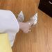 2026 Fashion New French Polka Dot Pointed Toe Baotou Stiletto High-end Women's Sandals_vogvips.com