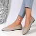 Cross-border European American Large-size Women's Flat Shoes, 2025 New Model, Pointed Toe, Shallow Mouth, Comfortable_vogvips.com