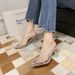 Large 2025 Summer Women's Water Diamond Perspective Sexy High Heel Sandals_vogvips.com