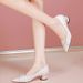Shallow Single Shoes Women's Fashion Low-heeled Work Shoes Thick-heeled Pointed Thick-heeled Leather Shoes Women_vogvips.com