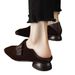 Versatile Square-toed Shallow Mary Jane 2025 New Frosted Retro Soft-soled Leather Shoes, Chunky Heel Women's Shoes_vogvips.com