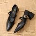 2025 New Spring Lightweight Shallow-Heel Women's Chunky Heel Pointed Toe Patent Mary Jane Shoes, Casual Retro Small_vogvips.com