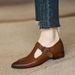 Spring 2025 New Women's French Low Pointed Coarse Heel Brown T-shaped Buckle Mary Jane Single Shoe_vogvips.com