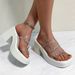 Fashion High-heeled Rhinestones Transparent Line With Slippers Women Large Size Waterproof Platform Platform Sandals Women_vogvips.com