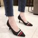 2024 Spring Autumn European And American Export Striped Shallow-Heel Pointed-Toe Stilettos, Ins-Style Workplace Trend,_vogvips.com