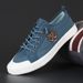 Euro Step Shiny Canvas Umbrella Ice Silk Breathable Cloth Shoes Low-top Lace-up Soft Sole Embroidered Trdy Casual Sneakers For_vogvips.com