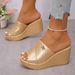 Women's Open Toe Peep Toe Wedge Sandals Fashion Summer Thick Sole Plus Size Strappy Sandals_vogvips.com