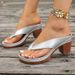 Caual Silver Pu Strap Flip Flop Vintage Round Toe High Heel Slip On Sandal Women 2025 Summer Elegant Shoe For_vogvips.com