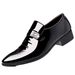 TerraStride Business Formal No-Lace Slip-On Glossy Pointed Toe Flat Men's Leather Suit Hollow Large Size Shoes_vogvips.com