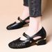 Cross-border Women's Hollow-out Summer Comfortable Mary Jane Shoes, Breathable Soft Sole, Retro Chunky Heel, Spring_vogvips.com
