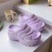 2024 New Fashion Thick-Soled High Heel Slippers 10cm Women's Height-Increasing Outdoor Wear In Stock INS European And_vogvips.com