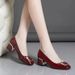 2025 Autumn Fashion High Heels New Women's Mid-heel Soft Sole Small Leather Chunky Heel Versatile Work Shoes_vogvips.com