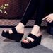 2025 High One-Strap Chunky Heel Slippers Women's Fashionable Outdoor Thick-Soled Trendy Sandals Versatile Beach Shoes_vogvips.com