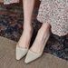 Chunky Single Shoes For Women 2024 New Spring Design Sense Niche Temperament Irregular Heel Shallow Mouth Pointed Toe_vogvips.com