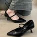 Women's High Heels 2025 Spring French Style Elegant Pointed Toe Shallow Mouth Stiletto Mary Jane Commuter Shoes_vogvips.com