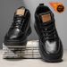 Fleece Men's Shoes For Autumn And Winter 2026, High-Top Sneakers, Men's Leather Thickened Cotton Shoes For Warmth, Low-T_vogvips.com
