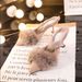 Fluffy High Heels For Women Winter Outdoor Pointed Toe 2024 New Perfect With Dresses Half Slippers Design Sense Royal_vogvips.com