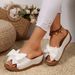 Summer Thick Sole Wedge Sandals For Women Plus Size European And American Style With Bow Foreign Trade Wish_vogvips.com