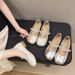 French Rhinestone Silver Mary Jane Single Shoes Women's Autumn Small Leather Shoes With Skirt Thick Heel Evening Shoes_vogvips.com