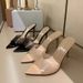 European And American 2025 Spring New Transparent Strap High Heel Sandals For Women, Thin Heel, Pointed Open Toe, Sexy_vogvips.com