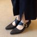 2025 Autumn New Style Pointed Toe Chunky Heel Strap-On French Versatile Shallow Metal Elegant High-Heel Pumps_vogvips.com