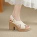Women's Chunky Heel Wedge 2026 New Summer Outdoor Versatile Fashion Ultra-light Comfortable Thick-soled Stylish Sandals_vogvips.com