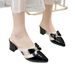 Cross-Border High For Women 2025 Summer New Style Women's Shoes Closed-Toe Bowknot Half Internet Celebrity Outdoor Thick_vogvips.com