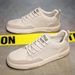 Summer Canvas For Men Trendy Spring Breathable Internet Celebrity Hot-Selling Men's Sports Casual Office Sneakers New_vogvips.com